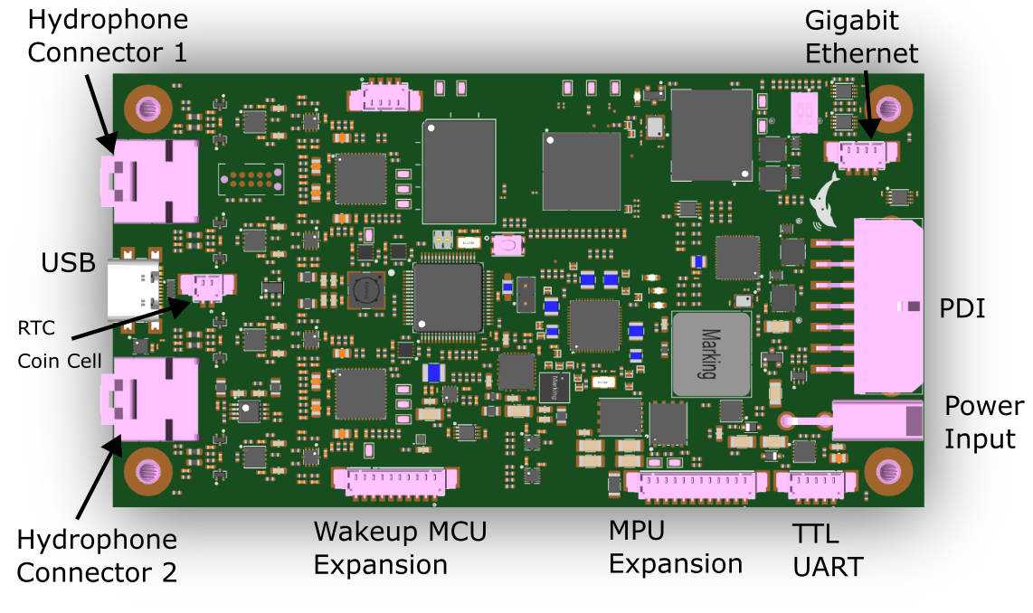 PMM6081 digital board connector locations